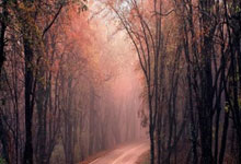 亿万28-关于荷甲赛程吃紧,那不勒斯清晨刷新队史纪录,压力陡增,团队化学反应显著的信息